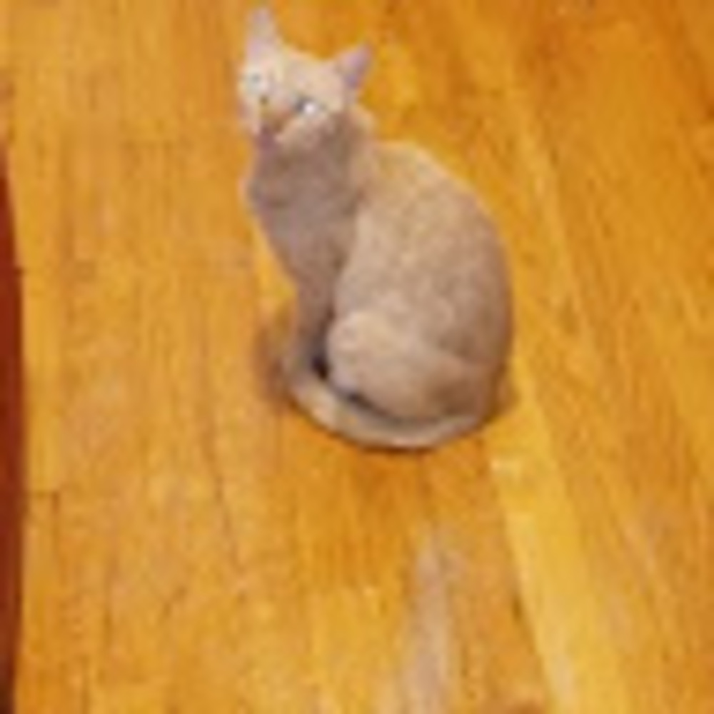 Meet your Posher, Kittens
